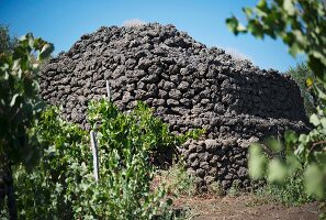 A tower of volcanic rock at the Pietradolce vineyard, Sicily, Italy