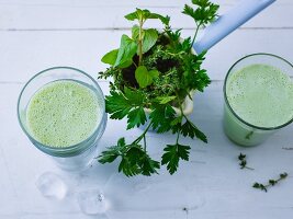 Grüner Topinambur-Kräuter-Smoothie mit Schwedenmilch & Akazienhonig