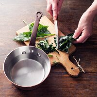 Lungwort for a decoction à la Hildegard von Bingen being made