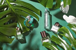 Various perfume bottles against a green background