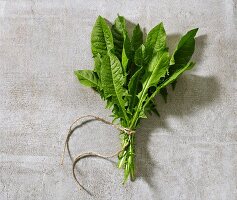 A bundle of fresh dandelion leaves on grey stone surface