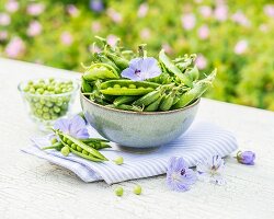 Green pea pods in a bowl on a garden table