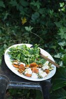A summer salad with marinated mozzarella, apricots and courgettes