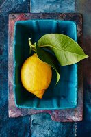 A lemon with a leaf in a turquoise container