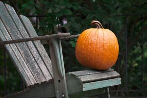 A pumpkin on a wooden chair in a garden