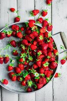 Frische Erdbeeren auf Metalltablett