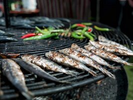 Sardines and chilli peppers on the barbecue
