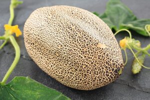 A sikkim (an Indian 'rock melon')