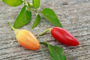 Yellow and red chillies from Vietnam