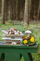 Button mushrooms on scales and wooden toadstool on arrangement of moss and flowers