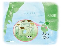 Gezeichnete Landkarte der Insel Öhe zwischen Rügen und Hiddensee