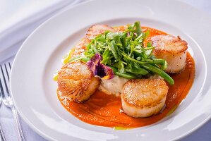 Seared scallops with mashed potaoes and greens
