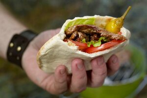 A hand holding a kebab