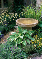 Bird bath made of natural stone, Hosta (Funkie)