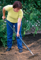 Planting a perennial bed: Soil preparation: 8