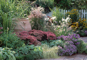 Autumnal bed with Sedum 'Autumn joy', Alchemilla