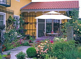 Terrasse mit Lavandula / Lavendel, Rosa / Rosen, Acer palmatum