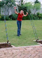 Making a summer bed with an arch (4/8)