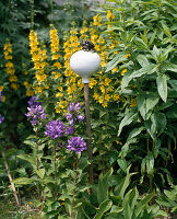 Garden ball with frog