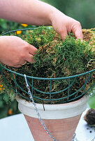 HANGING BASKET Bepflanzen: Korb mit Moos Oder