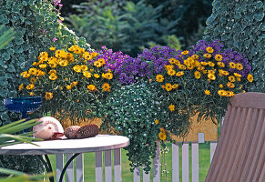 Gelber Strauß mit Rudbeckia fulgida (Kornblume), Hemerocallis