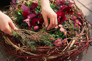 Spring arrangement with viola 'Fama rot' and Bellis