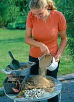 Plant water tub