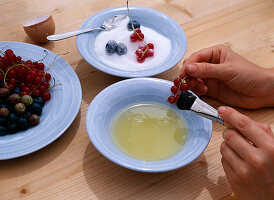 Sugared fruits: Step (1/2). Ribes (currants), Vaccinium (blueberries)