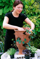 Planting a herb pot (1/4)