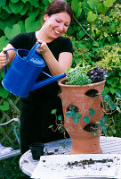 Planting a herb pot (3/4)