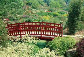 Red bridge in the Japanese garden