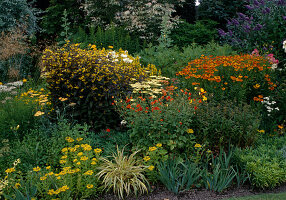 Richly planted bed with blooming flowers and perennials