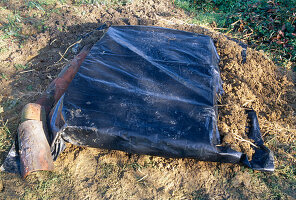 Vegetable stock in the dirt, cover with foil