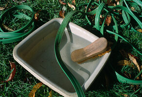 Cleaning garden hose