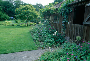 Perennial bed at the garden house: Geranium (cranesbill), Allium (ornamental leek), Rosa (roses), Castanea sativa (sweet chestnut, chestnut) in the lawn, below seating area
