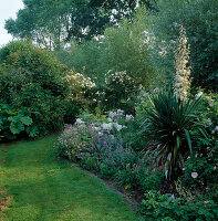 Blühendes Staudenbeet: Yucca gloriosa (Palmlilie), Rosa (Rosen), Nepeta (Katzenminze), Geranium (Storchschnabel), Campanula (Glockenblumen)