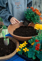 Plant the tray with summer flowers. Rip up root felt before planting (4/7)