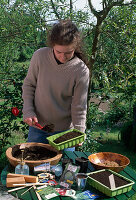 Vegetable sowing Fill sowing soil into seed tray