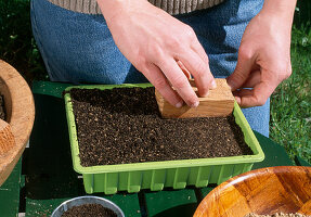 Vegetable sowing Lightly press down soil with wood (3/8)