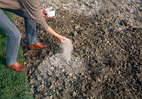 Soil preparation for sowing or planting Spread wood ash (2/4)