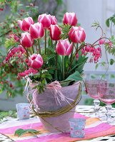 Tulipa ' Lustige Witwe ' (Tulpen)