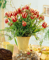 Bouquet of tulips Tulipa hybrid, Easter nest