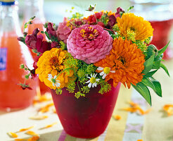 Zinnia (zinnia), Calendula (marigold)