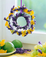 Achillea (yarrow), Lavandula (lavender)