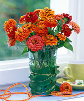 Zinnia (orange und rote Zinnie)