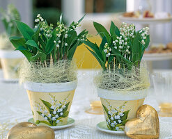 Convallaria majalis (lily of the valley)