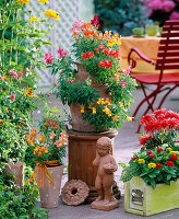 Pocket amphora with Antirrhinum (snapdragon)