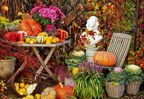 Autumn terrace with pumpkins, heather and ornamental cabbage