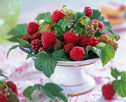 Rubus (Himbeeren, Weinbeeren, unreife Brombeeren)