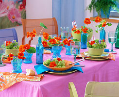 Tropaeolum (Nasturtium) in blue jars and bottles